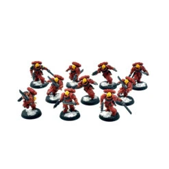 Games Workshop BLOOD ANGELS 10 Assault Intercessors #1 PRO PAINTED 40K